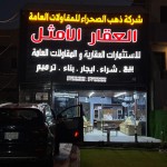 علي فاضل