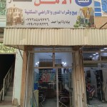 ماهر حسن