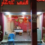 اسعد حيدر