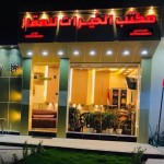 عقيل علي