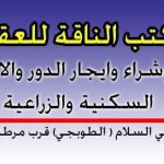 كريم يحيى