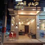 وسام فاضل