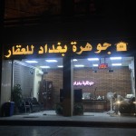 زيد صادق