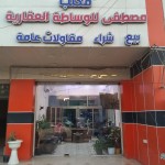 مصطفى عدنان