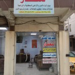 فارس فاضل