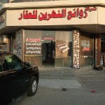 بهاء علاء